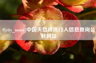 和县中国失信被执行人信息查询公开网址