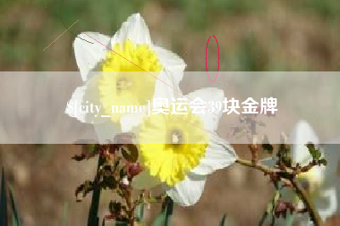 和县奥运会39块金牌