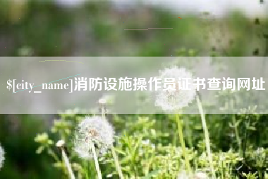 和县消防设施操作员证书查询网址