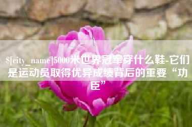 和县5000米世界冠军穿什么鞋-它们是运动员取得优异成绩背后的重要“功臣”