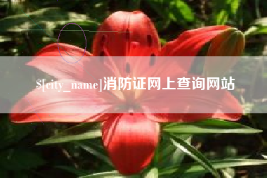 和县消防证网上查询网站