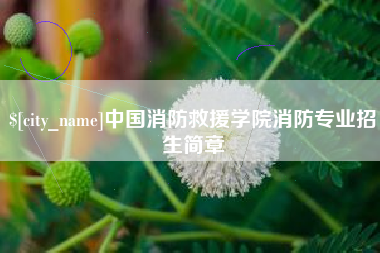 和县中国消防救援学院消防专业招生简章