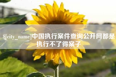 和县中国执行案件查询公开网都是执行不了得案子