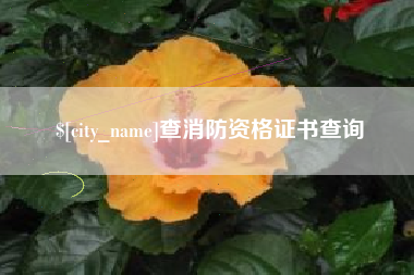 和县查消防资格证书查询
