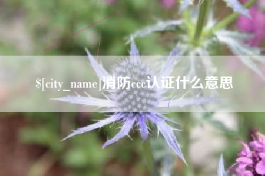 和县消防ccc认证什么意思