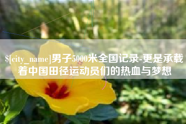 和县男子5000米全国记录-更是承载着中国田径运动员们的热血与梦想