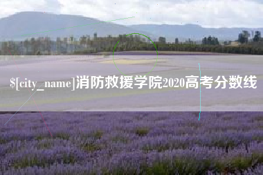 和县消防救援学院2020高考分数线