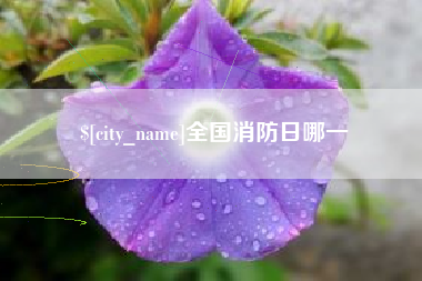 和县全国消防日哪一