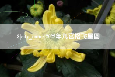 和县2022年九宫格飞星图