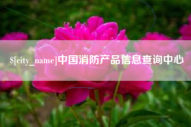和县中国消防产品信息查询中心