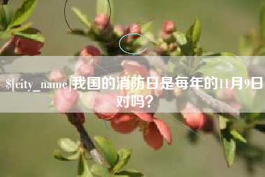 和县我国的消防日是每年的11月9日对吗？