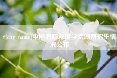 和县中国消防救援学院湖南招生情况公布
