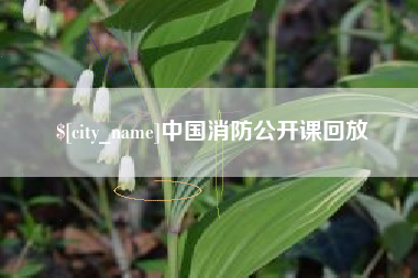 和县中国消防公开课回放