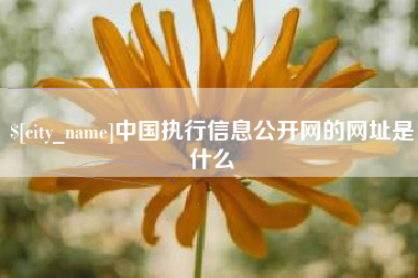 和县中国执行信息公开网的网址是什么