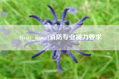 和县消防专业视力要求