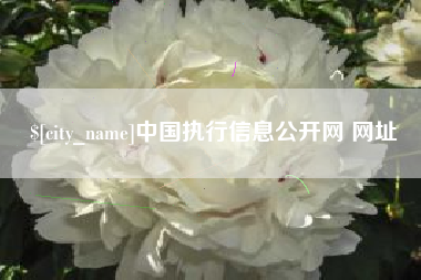 和县中国执行信息公开网 网址