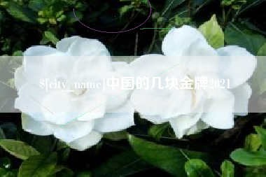 和县中国的几块金牌2021