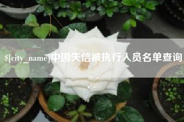 和县中国失信被执行人员名单查询