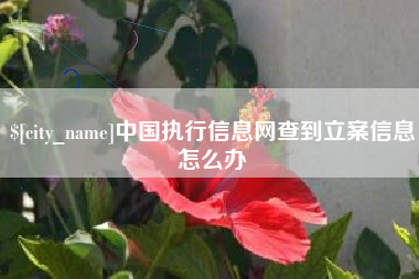 和县中国执行信息网查到立案信息怎么办