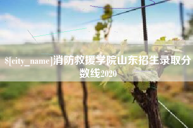 和县消防救援学院山东招生录取分数线2020
