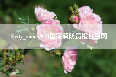 和县2021国家消防员报名官网