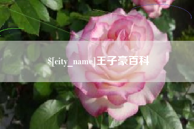 和县王子豪百科
