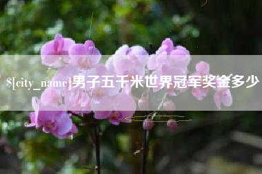 和县男子五千米世界冠军奖金多少