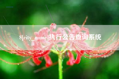 和县执行公告查询系统