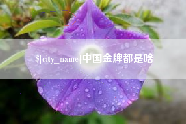 和县中国金牌都是啥
