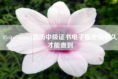 和县消防中级证书电子版查询多久才能查到
