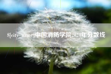 和县中国消防学院2024年分数线