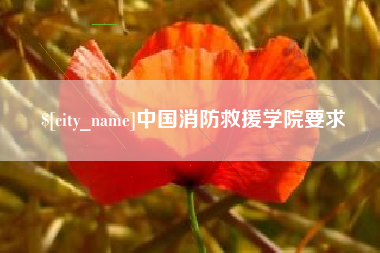 和县中国消防救援学院要求