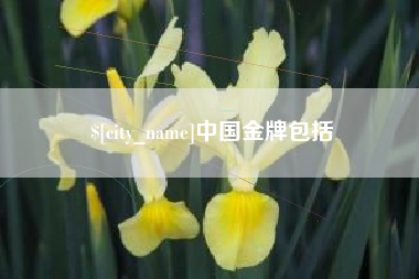 和县中国金牌包括