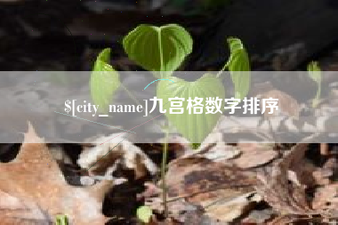 和县九宫格数字排序