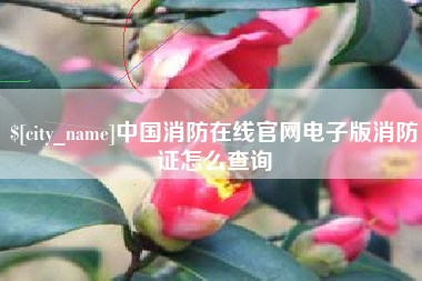 和县中国消防在线官网电子版消防证怎么查询