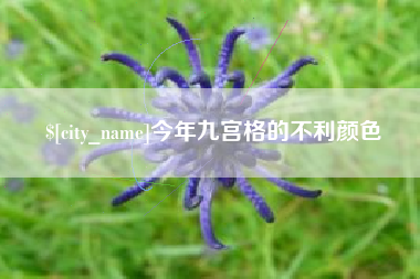 和县今年九宫格的不利颜色