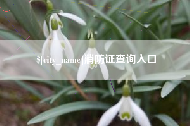 和县消防证查询入口