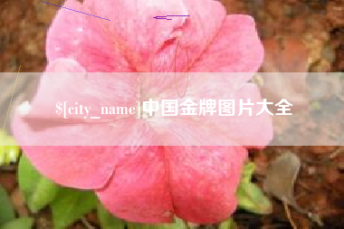 和县中国金牌图片大全