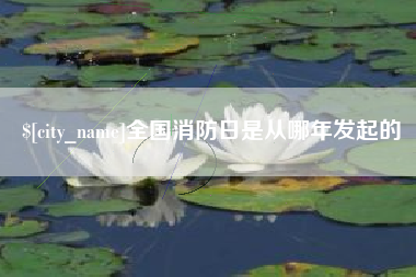 和县全国消防日是从哪年发起的