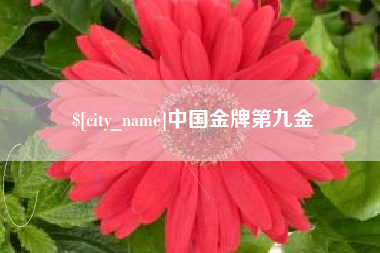和县中国金牌第九金