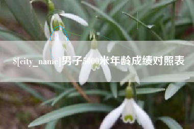 和县男子5000米年龄成绩对照表