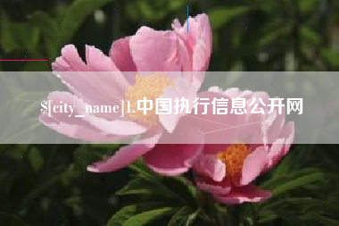 和县1.中国执行信息公开网