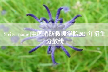 和县中国消防救援学院2024年招生分数线