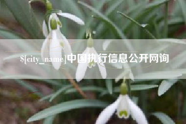 和县中国执行信息公开网询