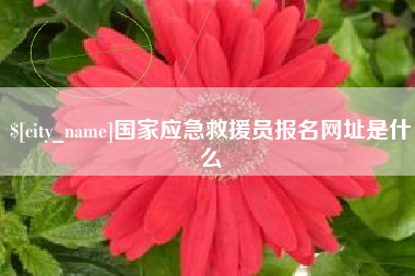 和县国家应急救援员报名网址是什么