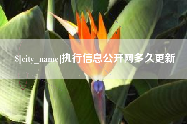 和县执行信息公开网多久更新