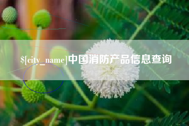 和县中国消防产品信息查询