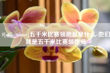 和县五千米比赛领跑员是什么-他们就是五千米比赛领跑员