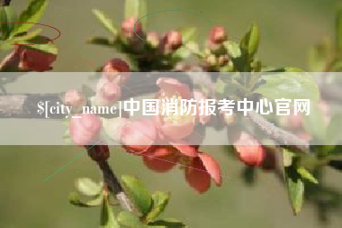 和县中国消防报考中心官网