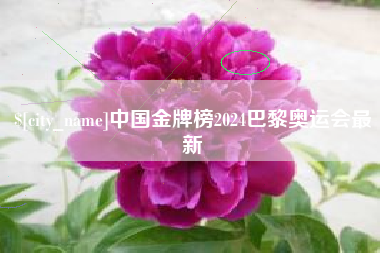 和县中国金牌榜2024巴黎奥运会最新